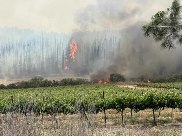 Fuego amenaza Yefe Nof y obliga a evacuaciones en Jerusalén