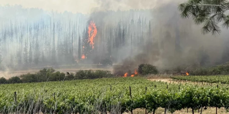 Incendios arrasan las colinas de Jerusalén el 30 de abril de 2025 (Servicio de Bomberos y Rescate)
