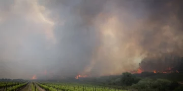 Israel pide ayuda internacional contra incendios cerca de Jerusalén