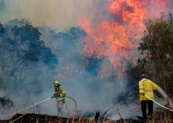 Incendios forestales provocan evacuaciones masivas en Israel