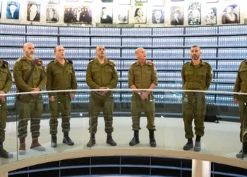Fuerzas de Defensa de Israel
