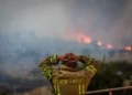 Prohíben fuegos y parrillas en Israel por incendios históricos