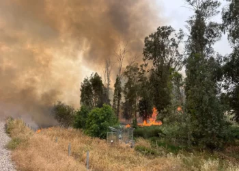 Un gran incendio estalla cerca de la Ruta 6 en el centro de Israel