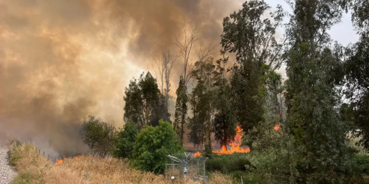 Un gran incendio estalla cerca de la Ruta 6 en el centro de Israel