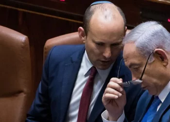 צילום: יונתן זינדל, פלאש 90