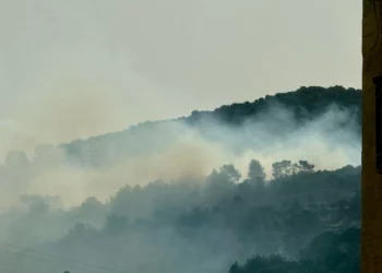 Un incendio arde en las colinas de Jerusalén, cerca de la ciudad de Bet Shemesh, el 18 de abril de 2025. (Servicio de Bomberos y Rescate de Israel)