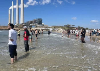 Tiburones atraen multitudes en playa de Hadera tras ataque mortal