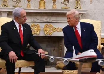 צילום: אבי אוחיון, לע"מ