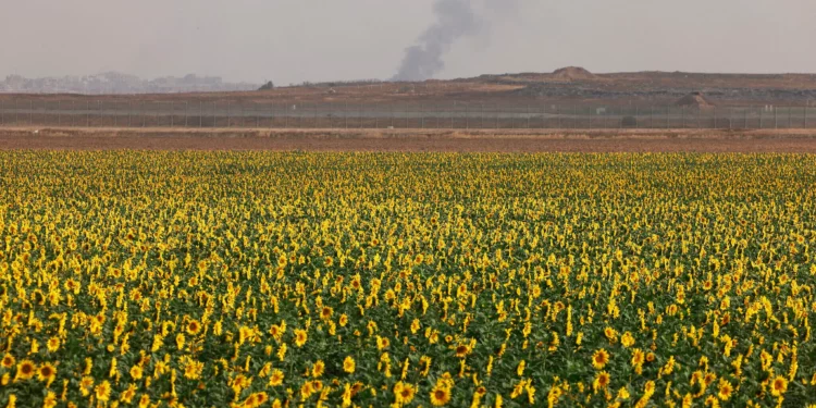 Esta imagen, tomada desde una posición en el sur de Israel en la frontera con la Franja de Gaza, muestra humo en Gaza durante los ataques israelíes el 18 de mayo de 2025.