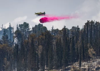 Incendio en Jerusalén controlado tras devastar 20,000 dunams