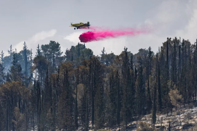 Incendio en Jerusalén controlado tras devastar 20,000 dunams