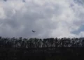 Bomberos controlan rebrotes de incendios cerca de Jerusalén