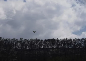 Bomberos controlan rebrotes de incendios cerca de Jerusalén