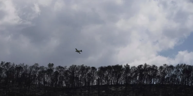 Bomberos controlan rebrotes de incendios cerca de Jerusalén