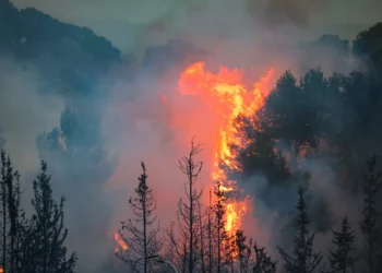 Incendios en Jerusalén se originaron en un fuego forestal previo