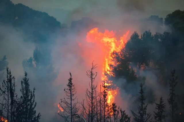 Incendios en Jerusalén se originaron en un fuego forestal previo