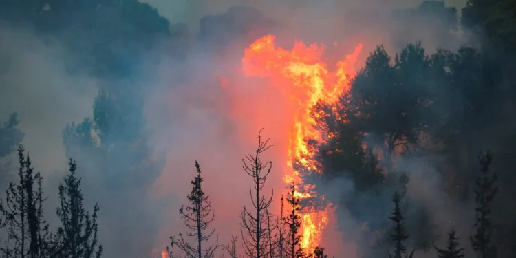 Incendios en Jerusalén se originaron en un fuego forestal previo