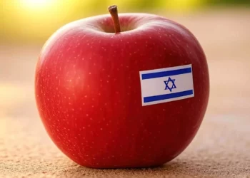 Manzana israelí Anna prospera en climas cálidos sin frío invernal