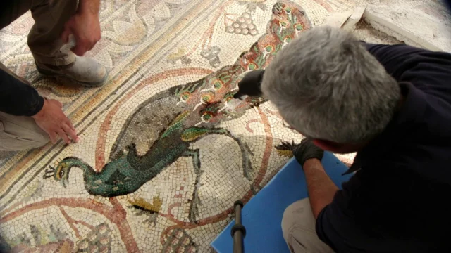 Mosaico bizantino de 1.600 años se exhibe en el Néguev Occidental