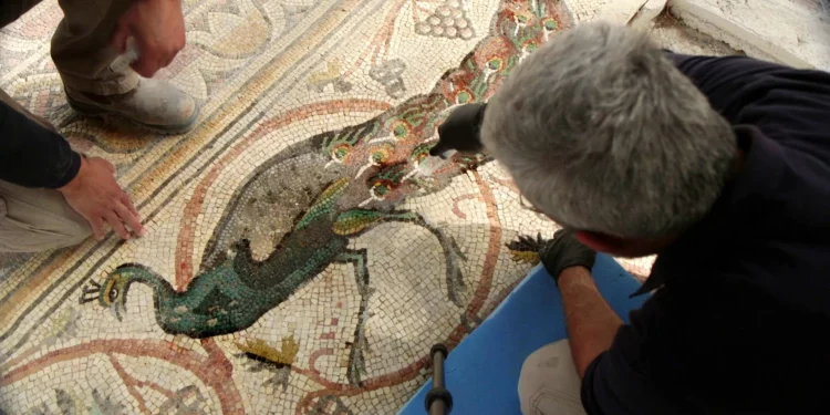 Mosaico bizantino de 1.600 años se exhibe en el Néguev Occidental