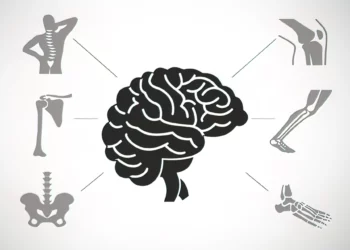 Israel vincula actividad cerebral a densidad ósea