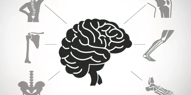 Israel vincula actividad cerebral a densidad ósea