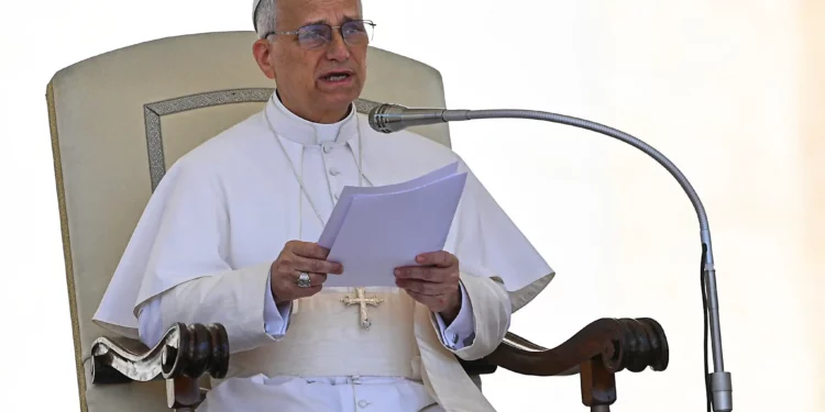 El Papa León XIV pronuncia su discurso durante la audiencia general semanal en la Plaza de San Pedro del Vaticano, el 28 de mayo de 2025. (Andreas SOLARO / AFP)