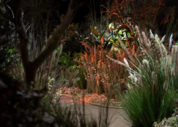 De 'El Jardín' en el Museo de Arte de Tel Aviv por Yael Moria Studio MA (Crédito Daniel Henoch)