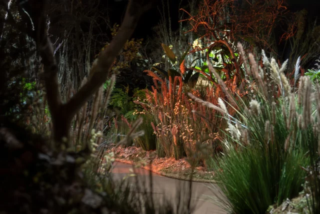 Museo de Tel Aviv estrena jardín interior único