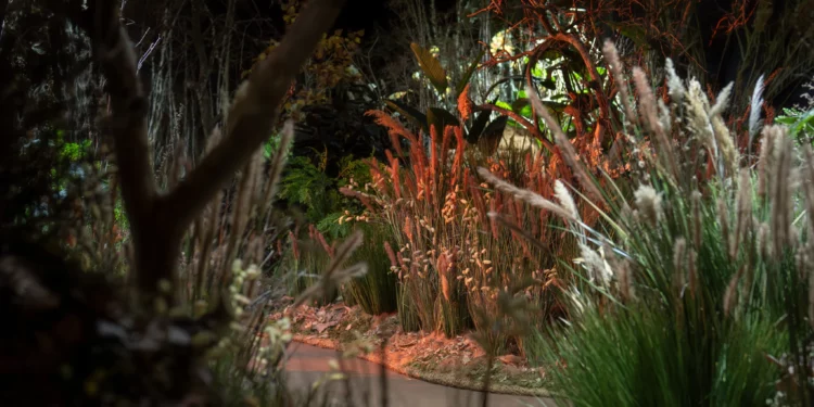 De 'El Jardín' en el Museo de Arte de Tel Aviv por Yael Moria Studio MA (Crédito Daniel Henoch)