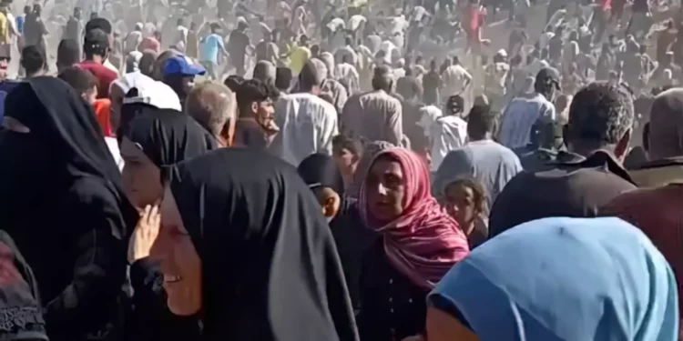 Fundación Humanitaria de Gaza reanuda distribución tras estampida