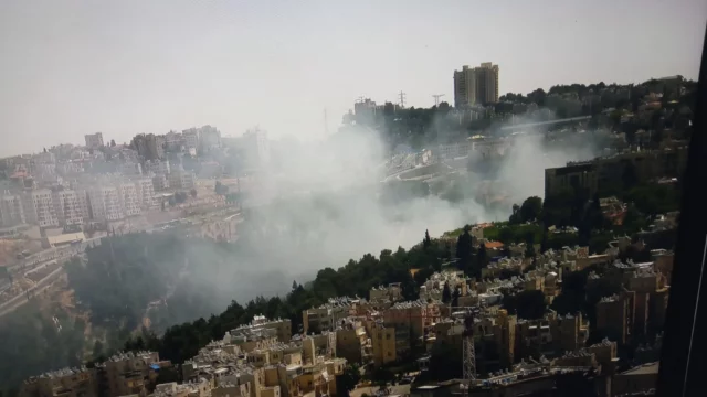 Fuerzas combaten incendio forestal cerca de Ruta 9 en Jerusalén