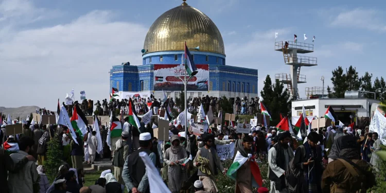 “Gaza no está sola”: talibanes organizan manifestaciones antiisraelíes en Afganistán