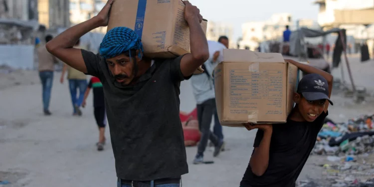 64 camiones con ayuda humanitaria entraron ayer en Gaza
