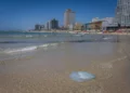 La temporada de medusas ha comenzado en la costa mediterránea de Israel