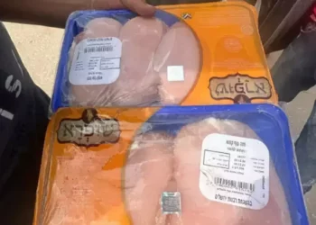 El pollo kosher llega a los mercados centrales de Gaza
