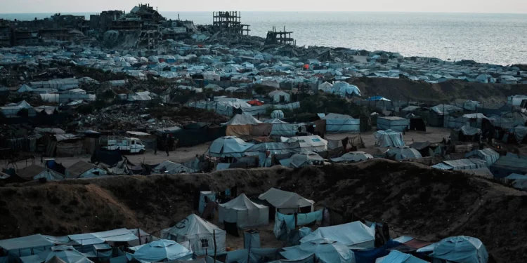 Fundación entrega ayuda en Rafah sin incidentes este martes