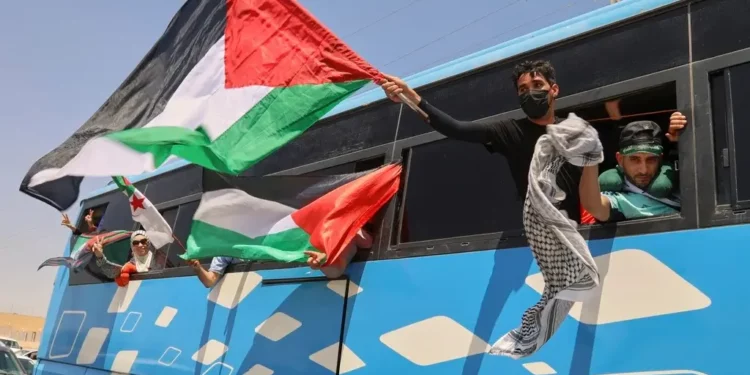 Miembros del convoy, incluyendo activistas y simpatizantes de Argelia y Túnez, ondean banderas palestinas desde un autobús mientras el grupo viaja hacia Gaza a través del cruce de Rafah en Egipto, en Zawiya, Libia, el 10 de junio de 2025. (Foto AP/Yousef Murad)