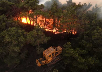 Rescatistas sirios evacúan zonas de Latakia por incendios forestales