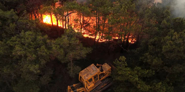 Rescatistas sirios evacúan zonas de Latakia por incendios forestales
