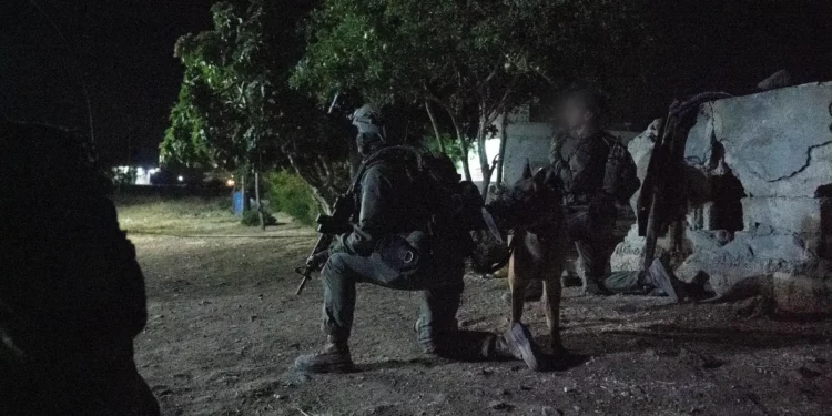 Tropas de las FDI operan en el sur de Siria en una foto publicada el 2 de julio de 2025. (Fuerzas de Defensa de Israel)