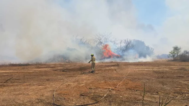 26 escuadrones de bomberos combaten un gran incendio en el centro de Israel