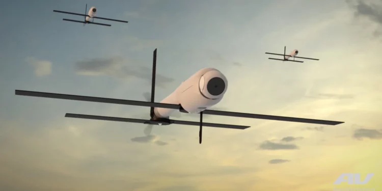 La munición merodeadora Switchblade 600, de la que se puede ver una representación aquí, fue uno de los primeros sistemas adquiridos con la ayuda de la iniciativa Replicator. AeroVironment