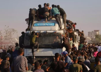 ONU informa que 88 % de la ayuda en Gaza es saqueada antes de ser distribuída