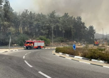 Bomberos combaten incendio forestal en el área de Jerusalén