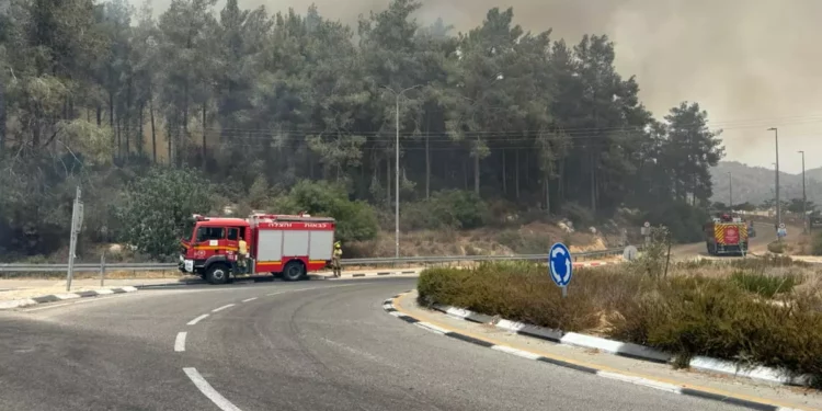 Bomberos combaten incendio forestal en el área de Jerusalén