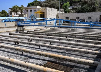 La peor sequía en 80 años: Beirut se queda sin agua