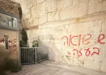 Juez envía a sospechoso de graffiti en el Muro Occidental a hospital psiquiátrico