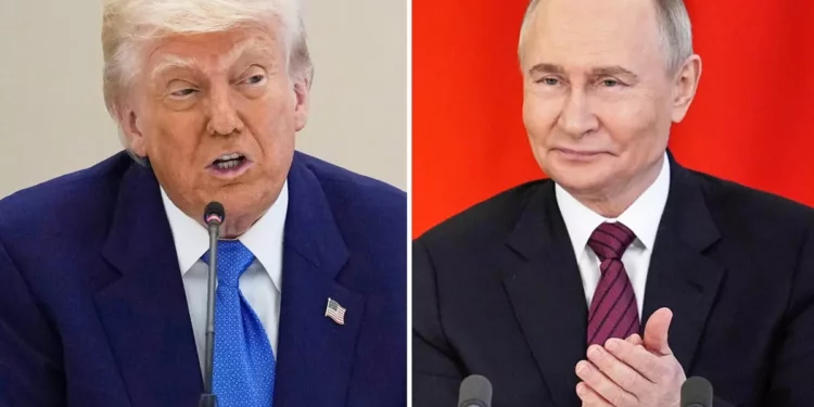 La Casa Blanca: Trump está abierto a reunirse con Putin y Zelensky