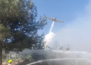 Un avión de bomberos trabaja para extinguir un incendio cerca de Mevaseret Zion el 24 de agosto de 2025. (Captura de pantalla/Servicio de Bomberos y Rescate)